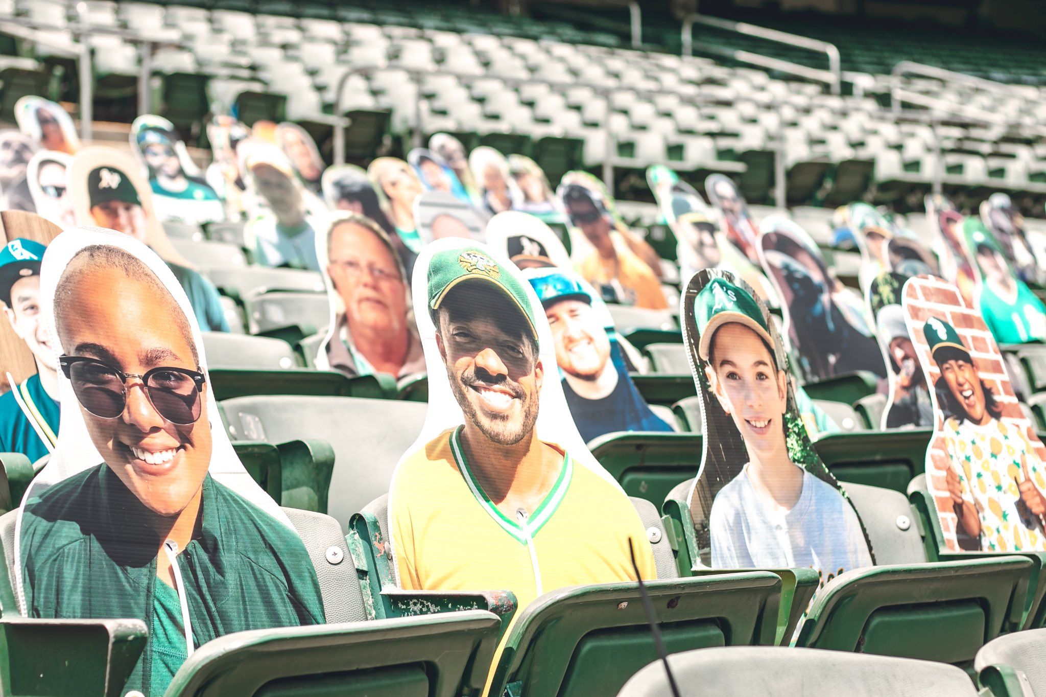 Major League Baseball Stadium Fan Cut Outs Showcase Image